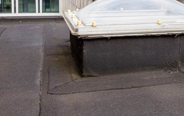 disadvantages of Greens flat roofs